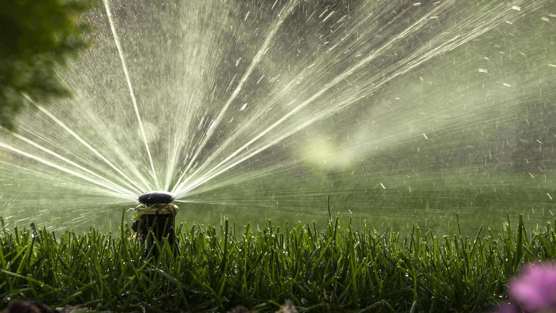 Irrigation maintenance services by a Prestige Outdoor Services pro in Calgary, Alberta.