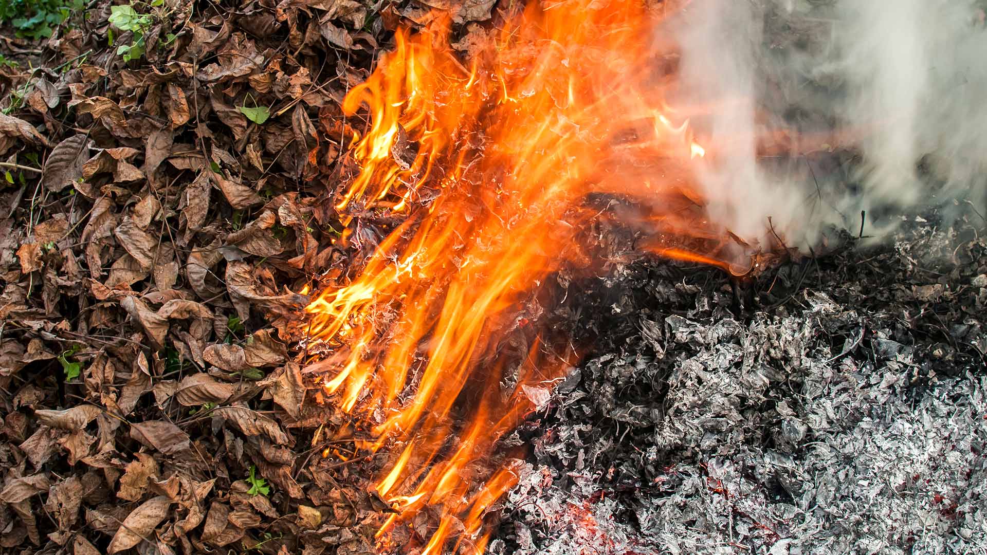 Burning the Leaf Piles on Your Lawn Is a Bad Idea!