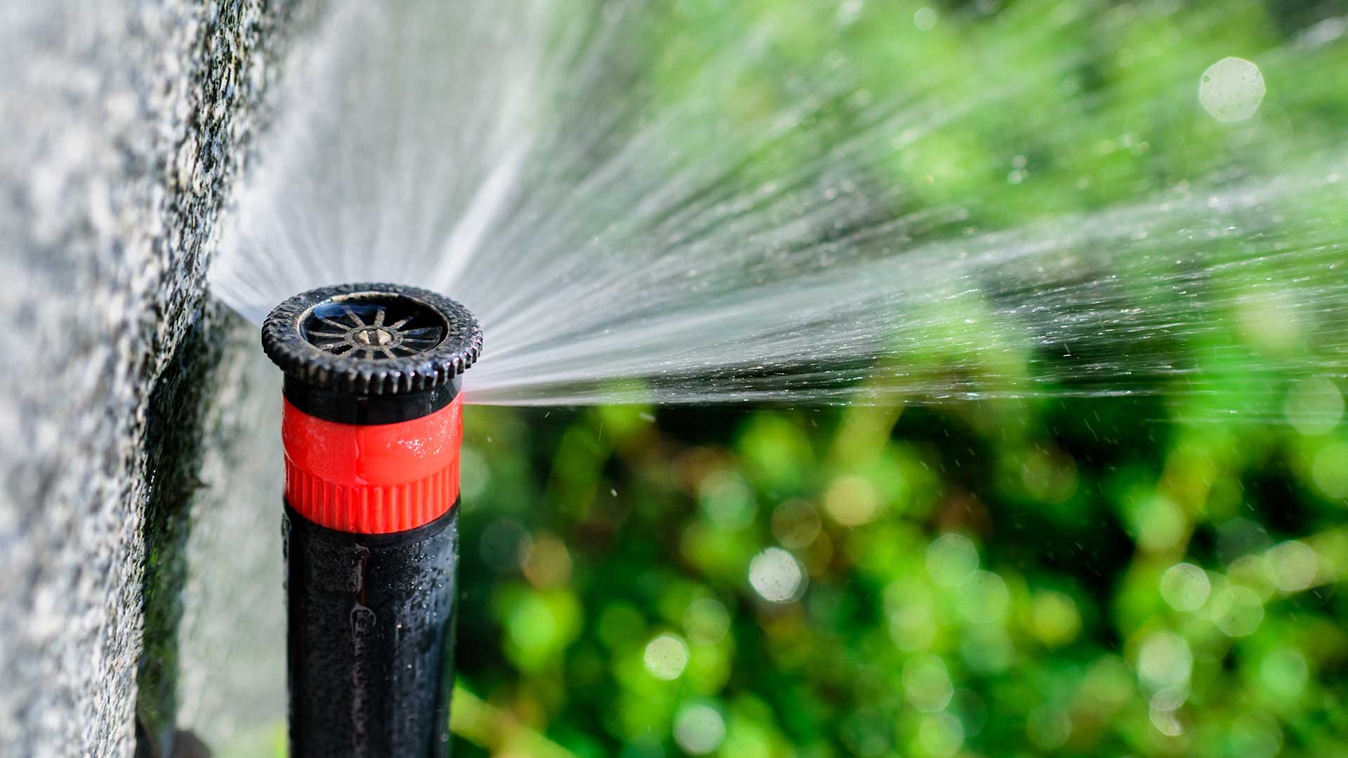 3 Things to Look for When Hiring an Irrigation Company to Perform Repairs