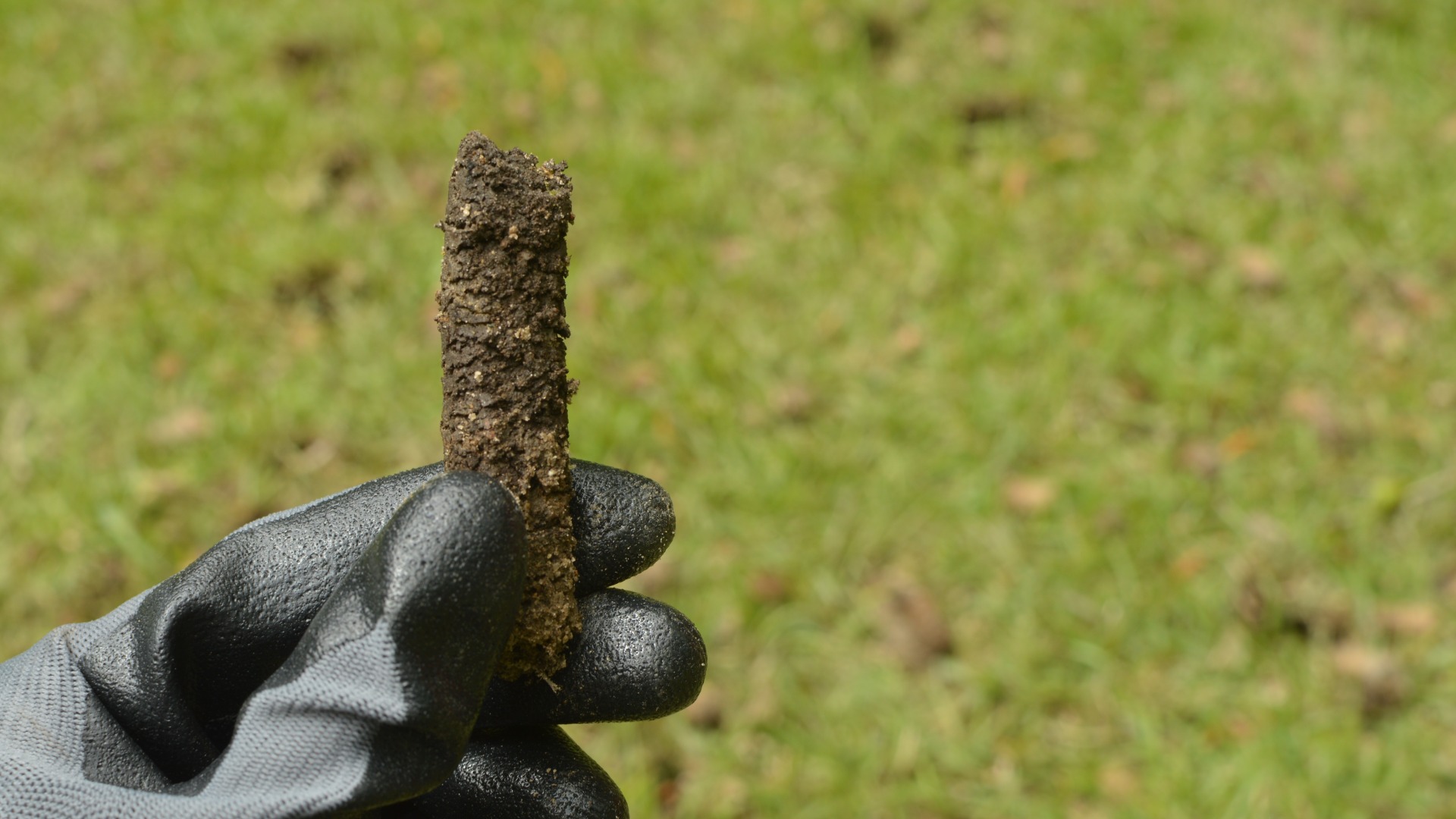 Why You Should Schedule Aeration in Both the Spring & Fall!