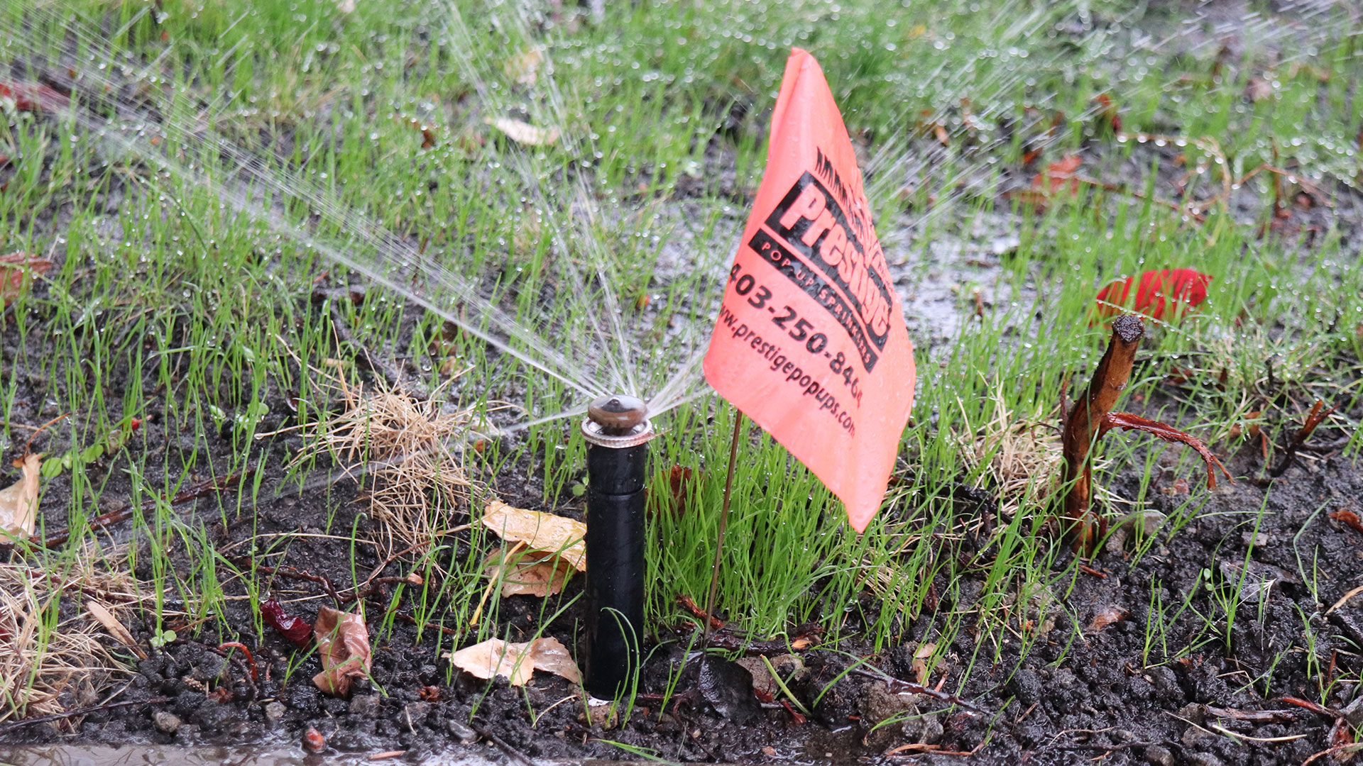 Irrigation system flagged for winterization by professionals in Altadore, AB.