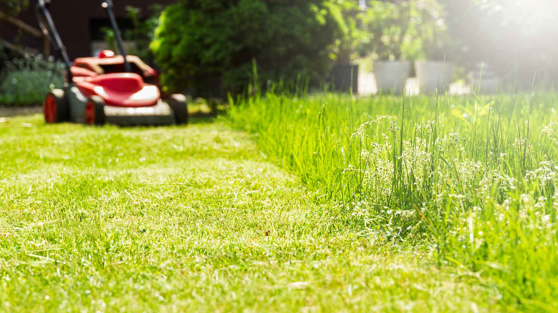 Lawn mowing at a home property in Airdrie, Alberta.