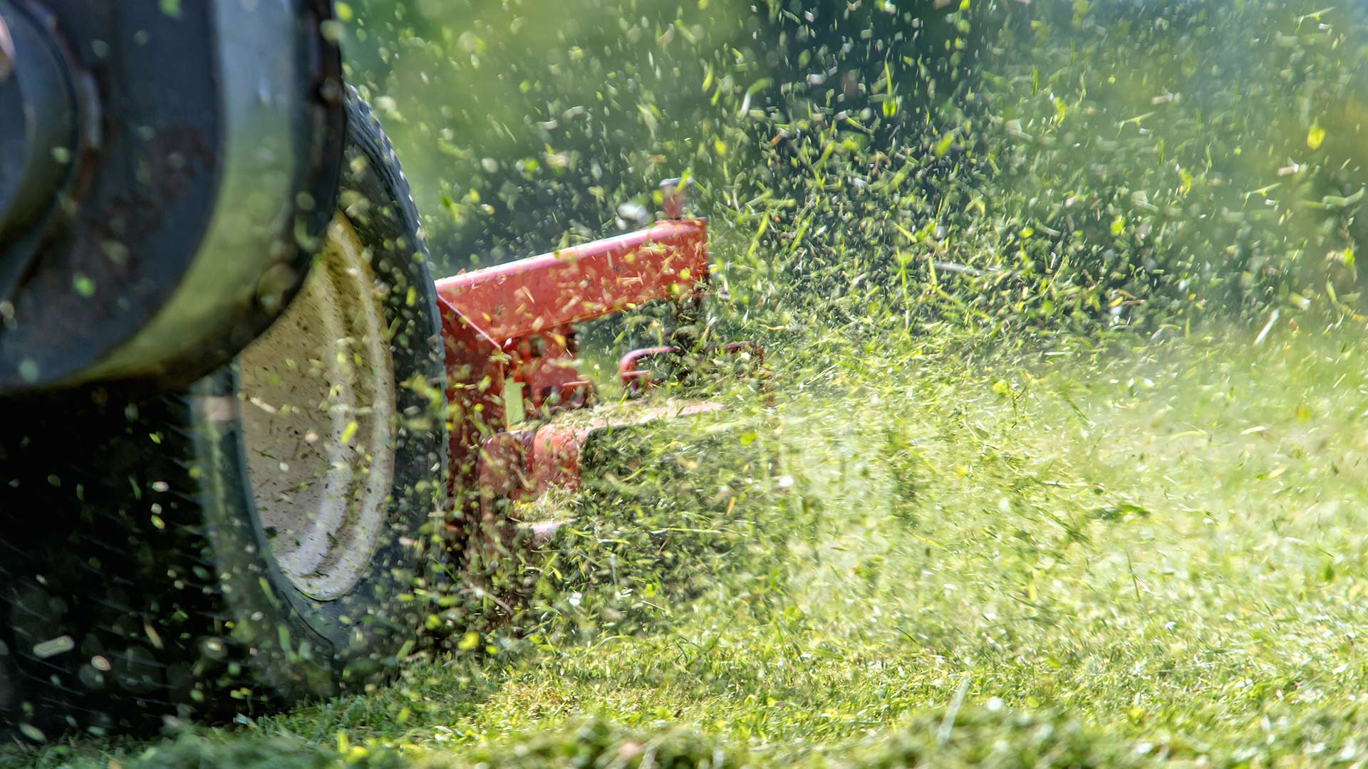 3 Huge Mistakes Your Lawn Mowing Company Might Be Making