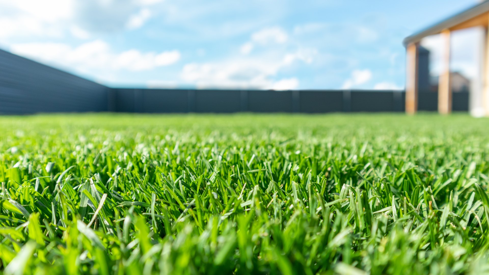 Does Your Lawn in Calgary Need a Summer Fertilization Treatment?