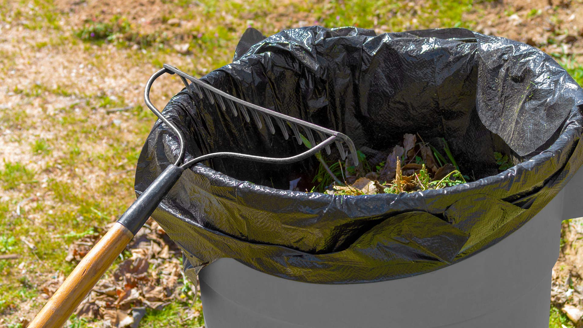 Spring Cleanups Are Essential for Increased Curb Appeal & Grass Health