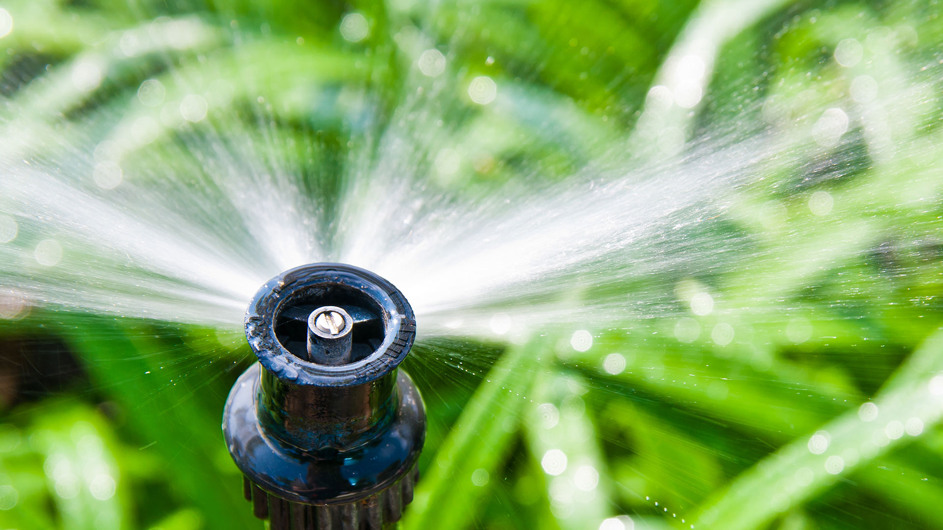 3 Signs Your Irrigation System Needs a Repair