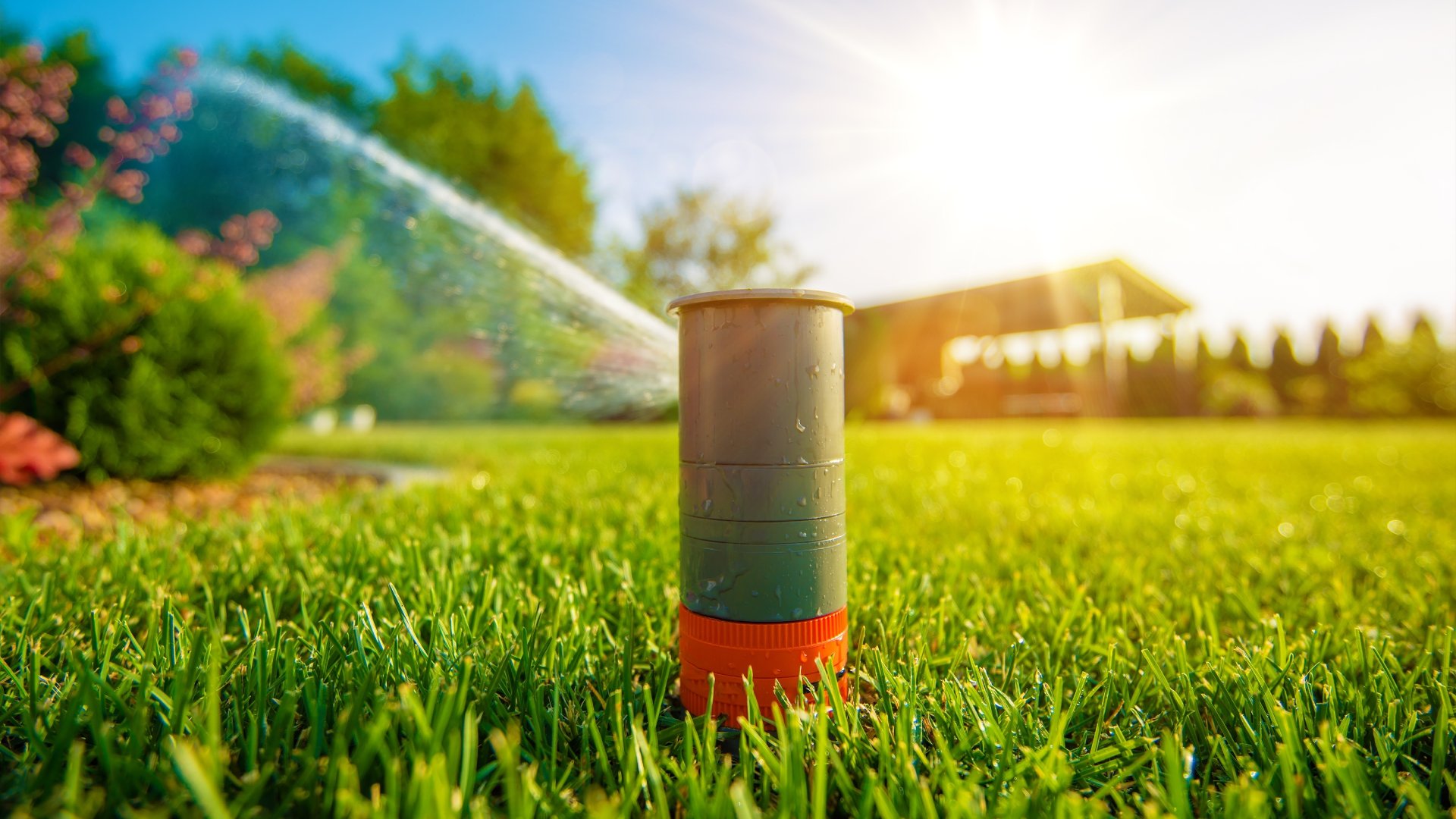 Why You Should Schedule Irrigation Maintenance Before Summer Arrives
