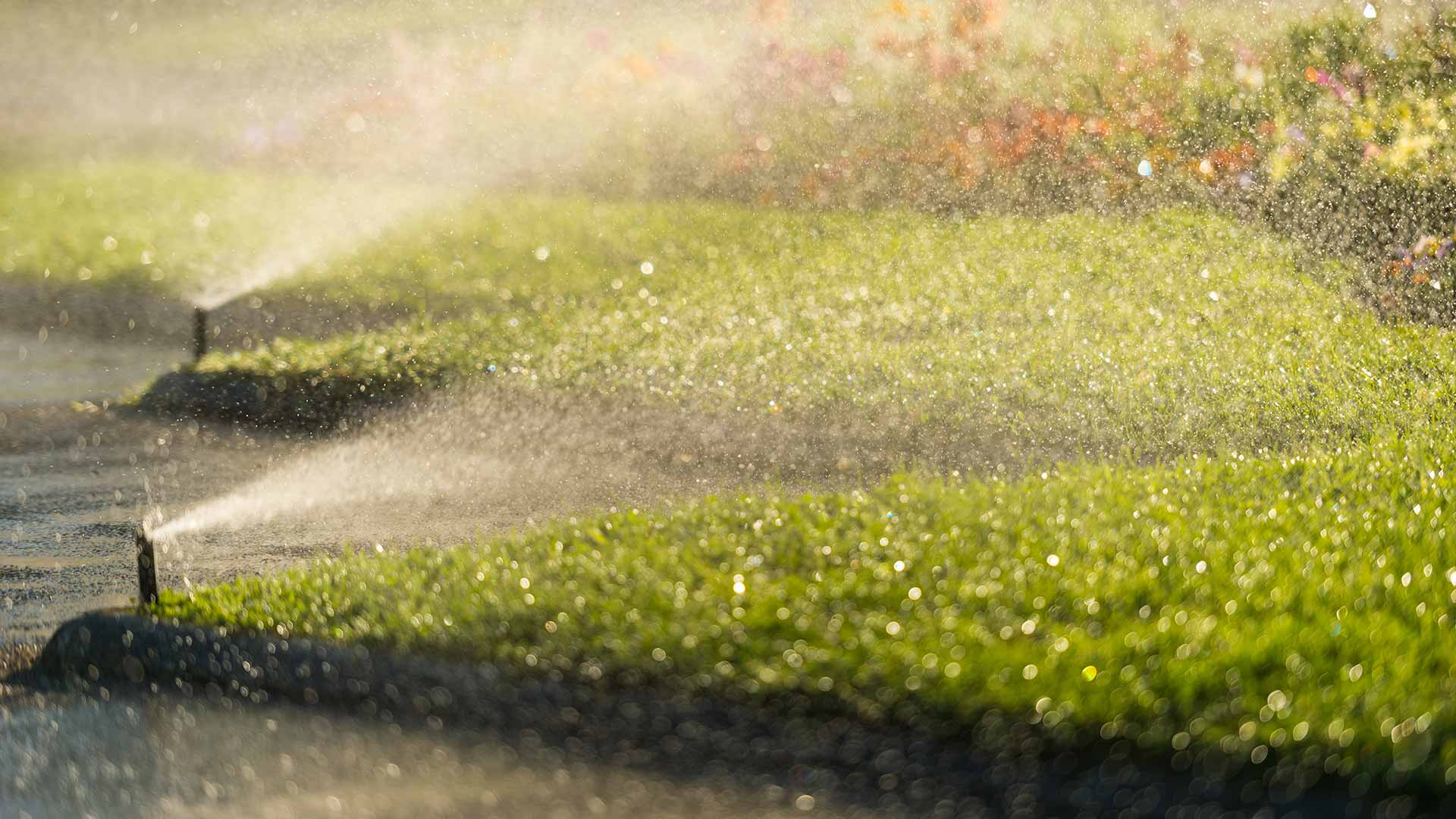 Set of lawn sprinklers watering a lawn in Aspen Woods, AB.