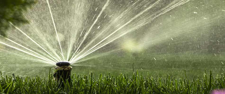 Irrigation system watering a lawn in Calgary, AB.