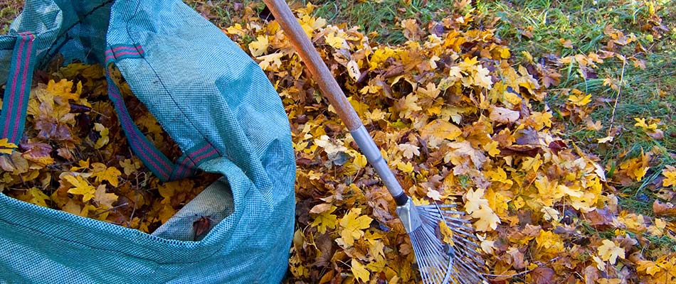 Prepping Your Lawn for Winter in Calgary - Don’t Forget These Steps!