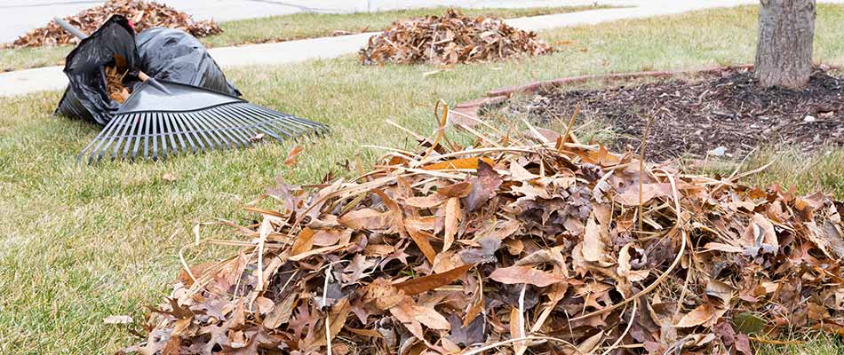 Fall cleanup with bagged leaves and rake in Airdrie, AB.