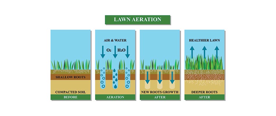 Diagram of lawn aeration in Canyon Meadows, AB.