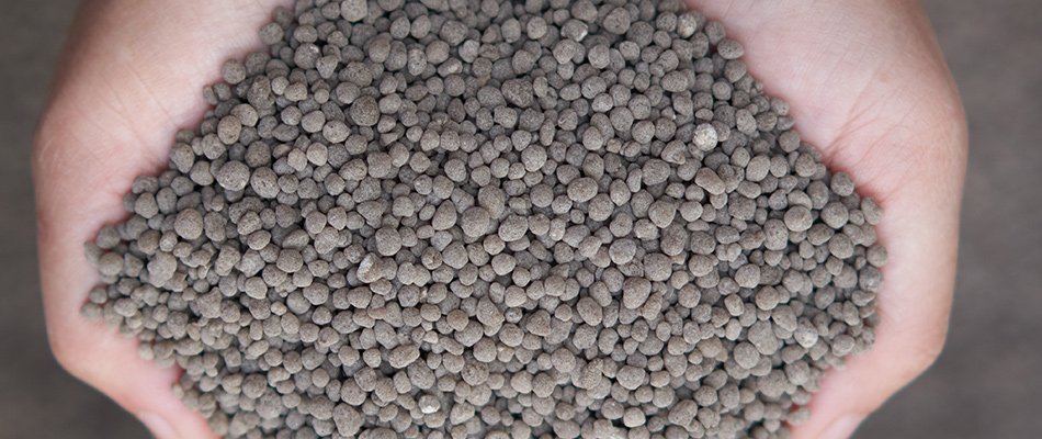 Phosphorus fertilizer component near Chestermere, AB.
