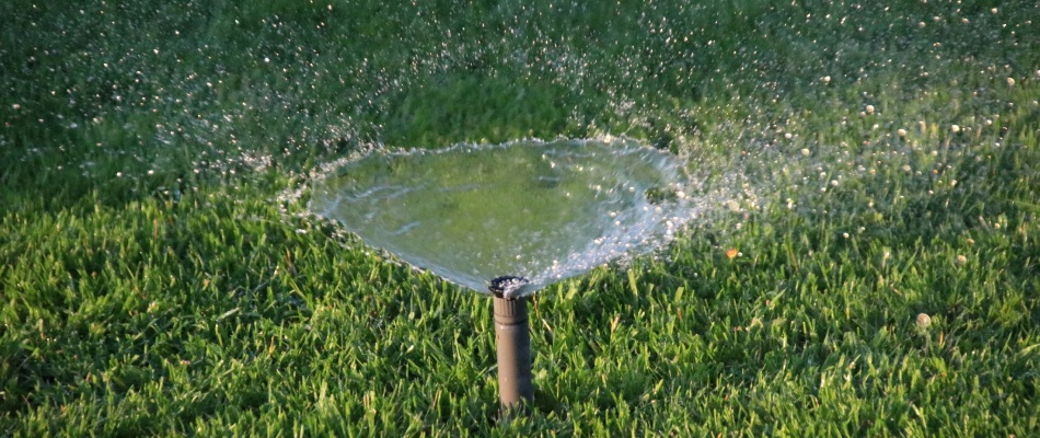 Start up irrigation system spraying green lawn in Bearspaw, AB.