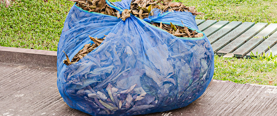content bagged leaves after spring cleanup