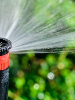 banner close up photo of sprinkler