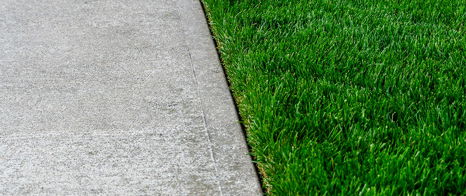 content edged lawn